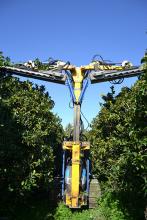 Mechanical pruning